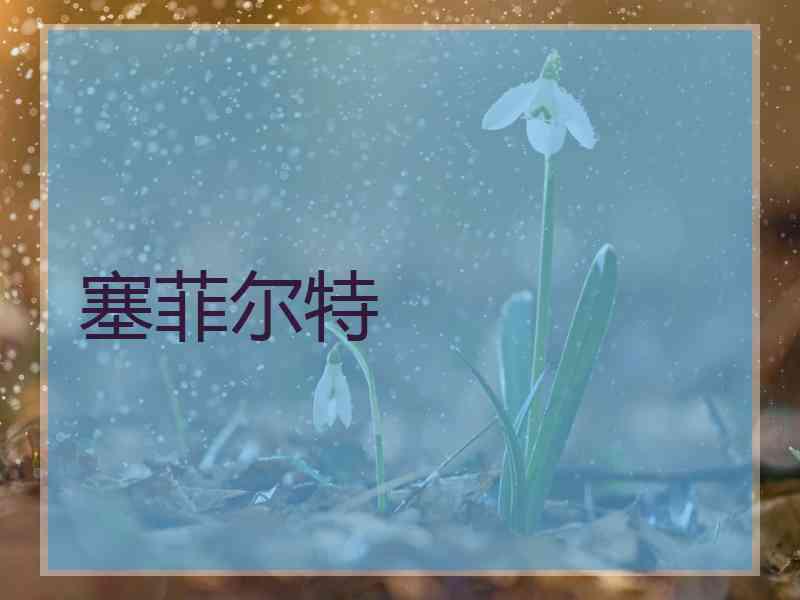塞菲尔特
