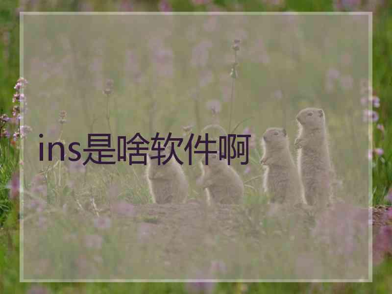 ins是啥软件啊
