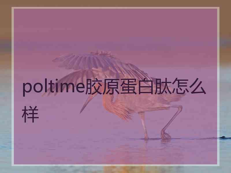 poltime胶原蛋白肽怎么样