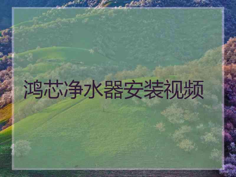 鸿芯净水器安装视频