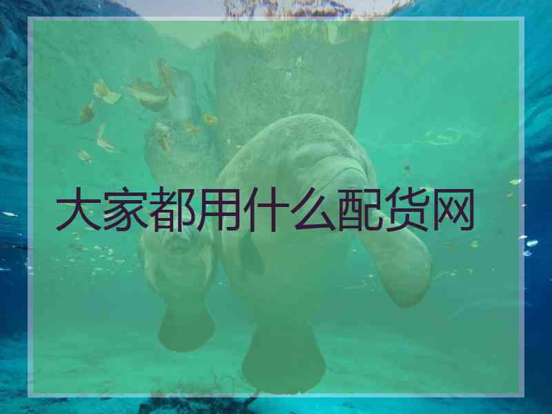大家都用什么配货网