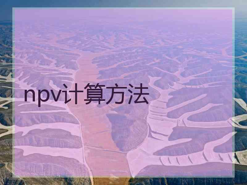 npv计算方法