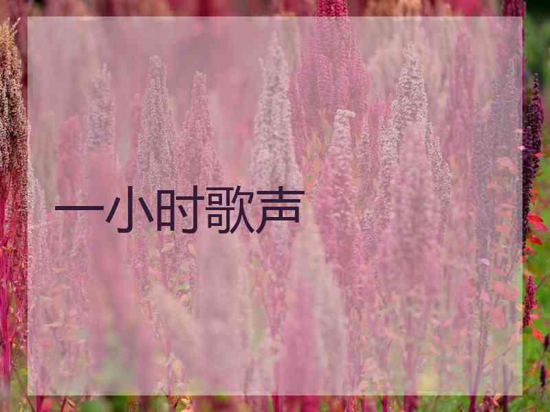 一小时歌声