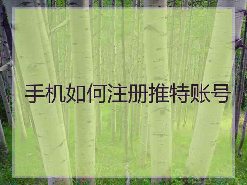手机如何注册推特账号