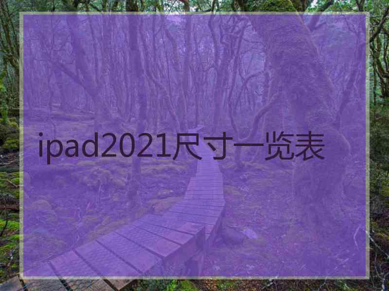 ipad2021尺寸一览表