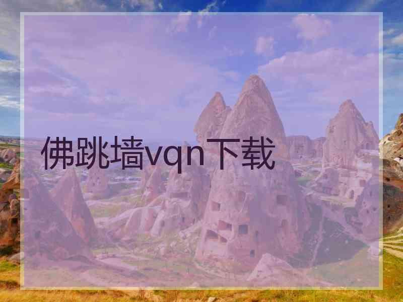 佛跳墙vqn下载