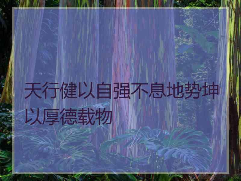 天行健以自强不息地势坤以厚德载物