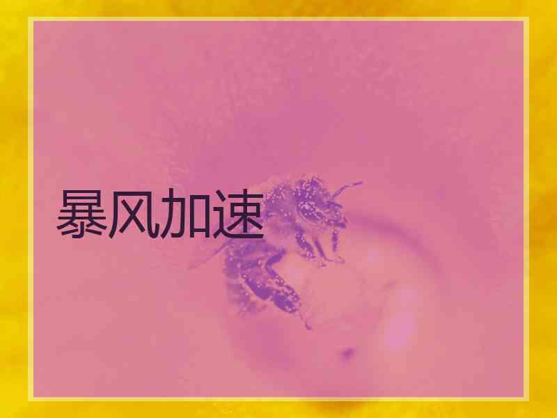 暴风加速