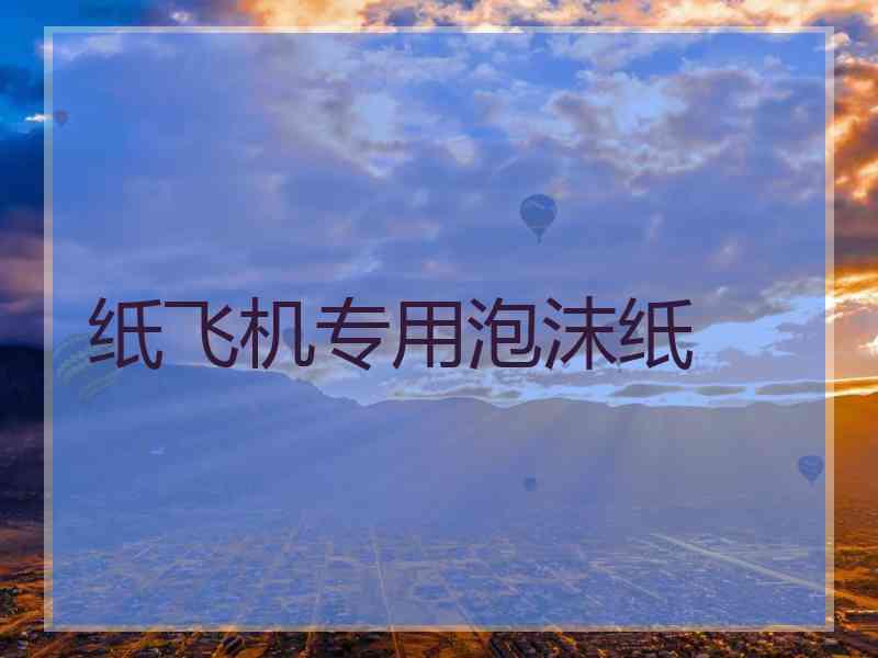 纸飞机专用泡沫纸