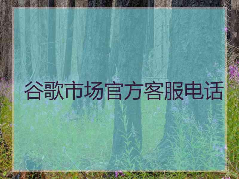谷歌市场官方客服电话