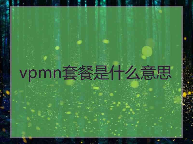 vpmn套餐是什么意思