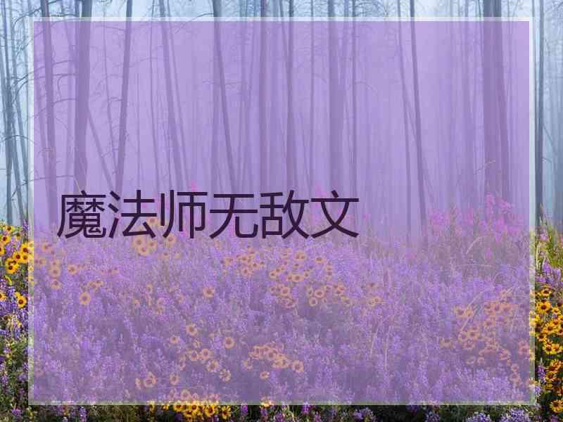 魔法师无敌文