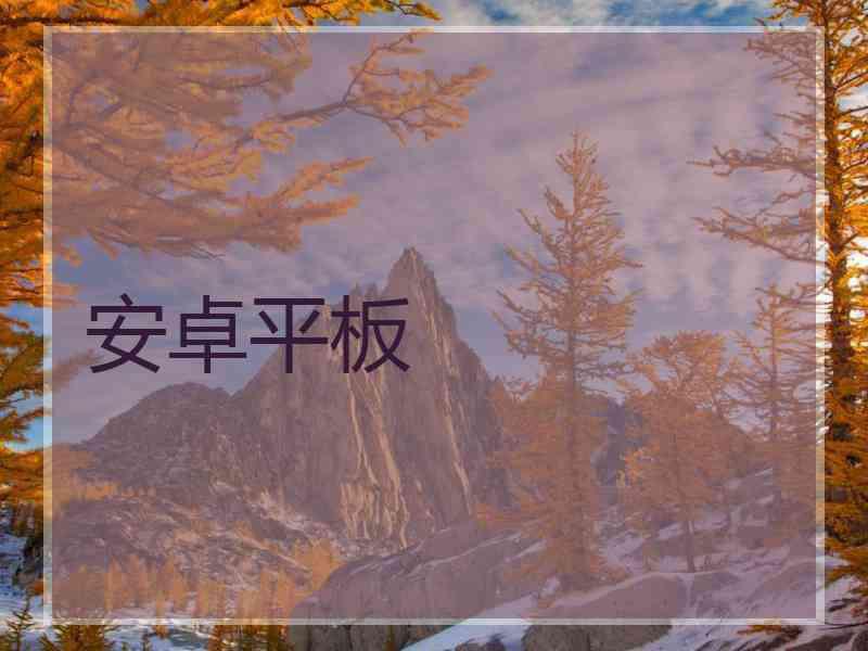 安卓平板