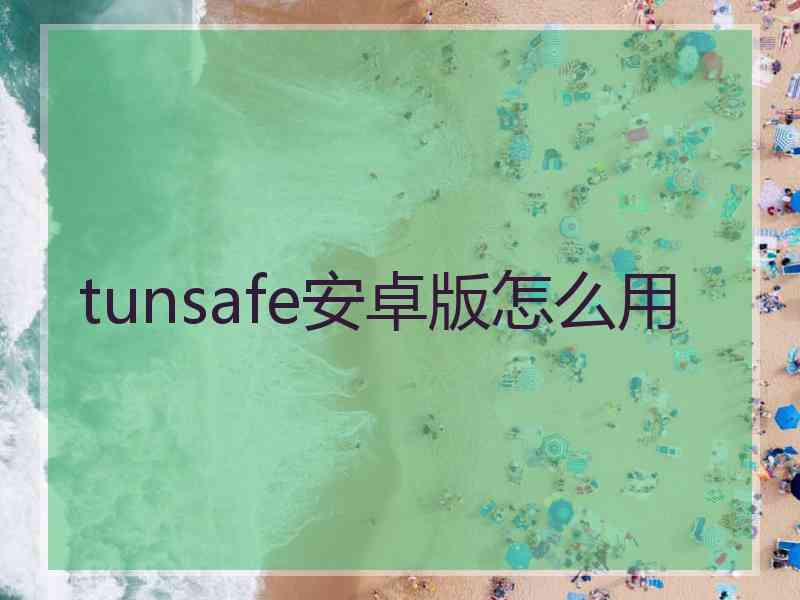 tunsafe安卓版怎么用