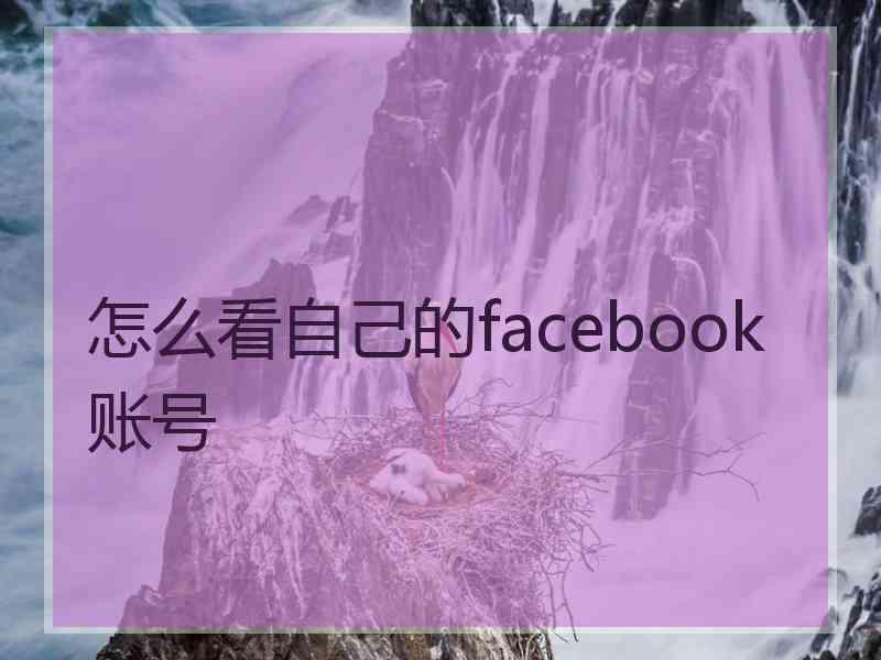 怎么看自己的facebook账号