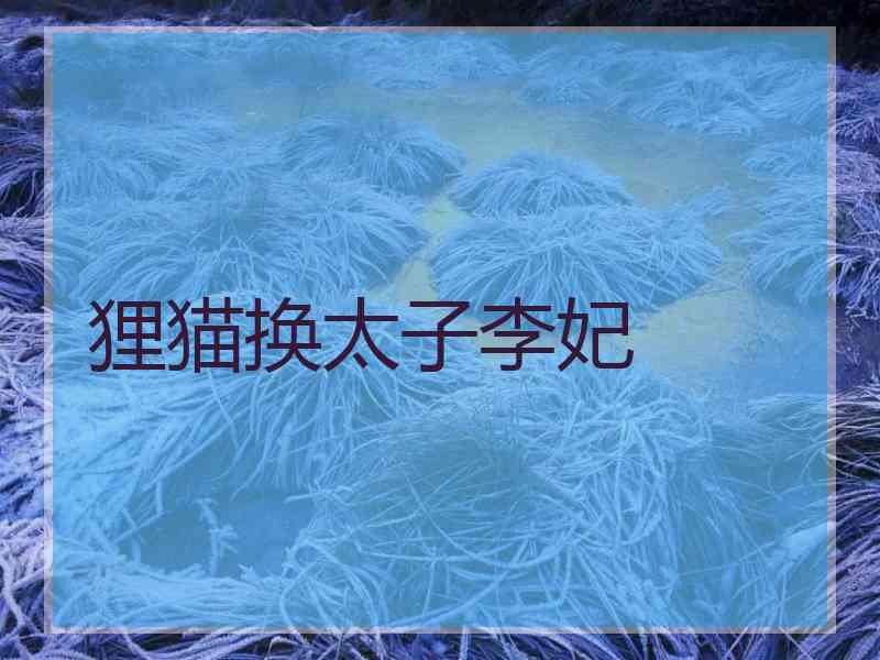 狸猫换太子李妃