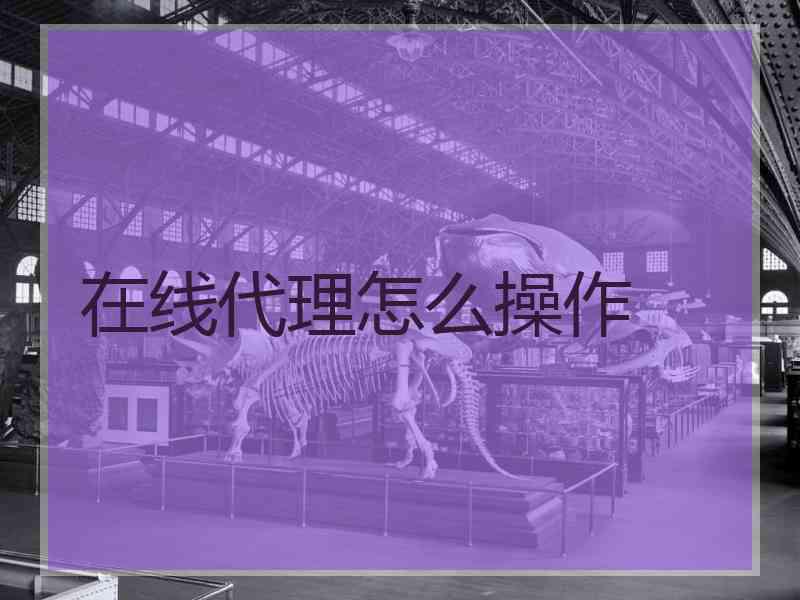 在线代理怎么操作