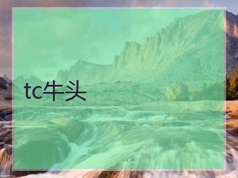 tc牛头