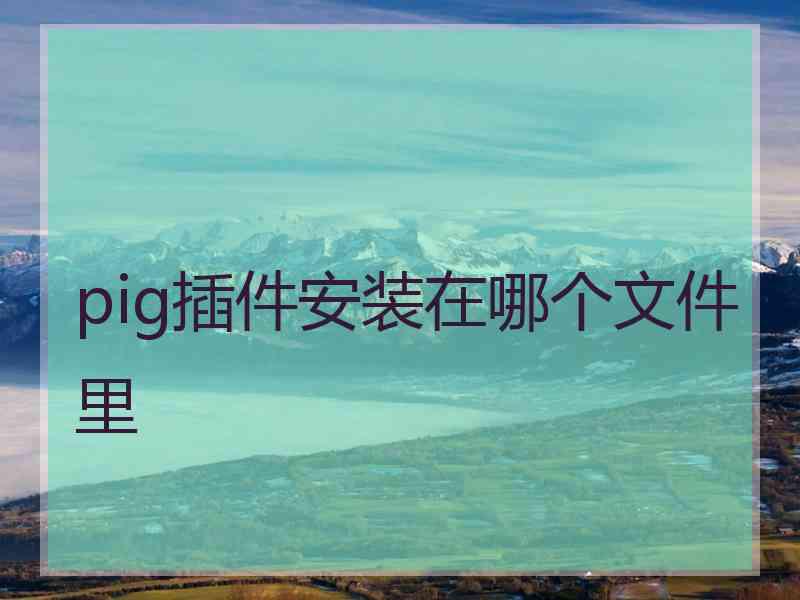 pig插件安装在哪个文件里