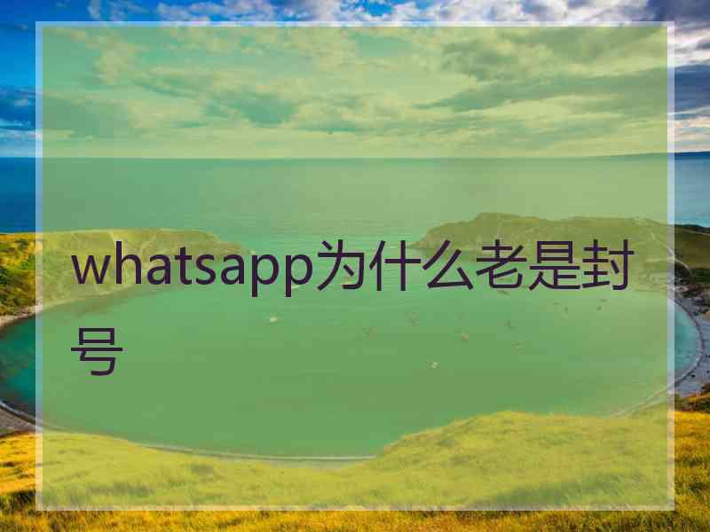 whatsapp为什么老是封号
