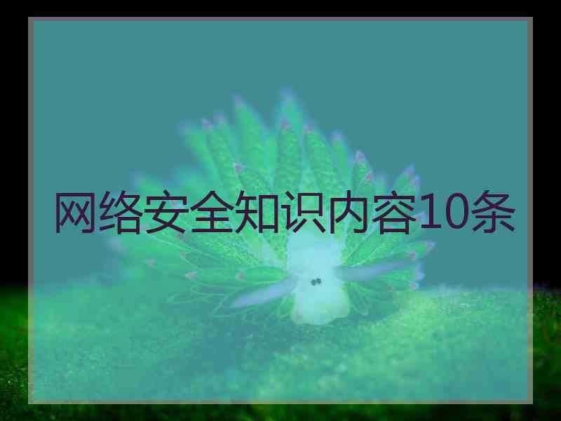 网络安全知识内容10条