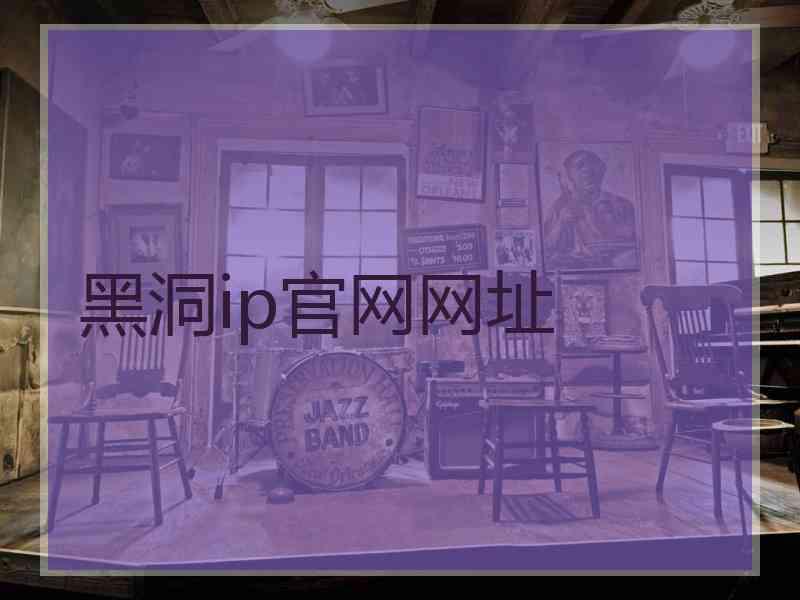 黑洞ip官网网址