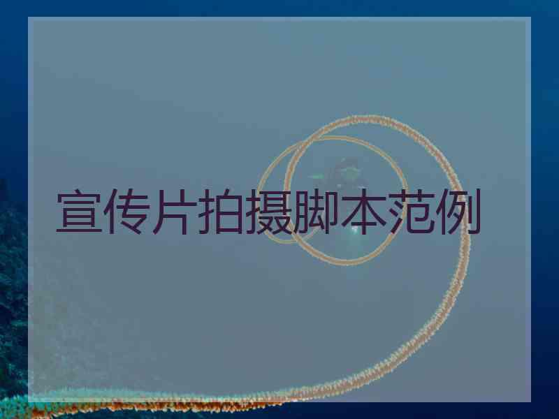 宣传片拍摄脚本范例