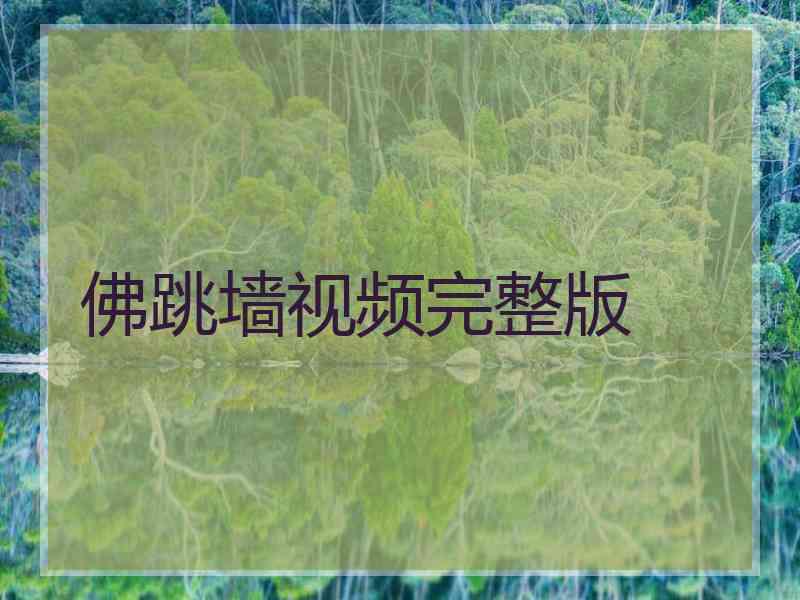 佛跳墙视频完整版