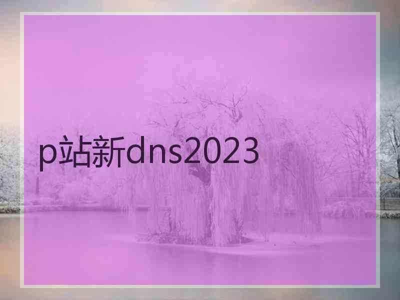 p站新dns2023