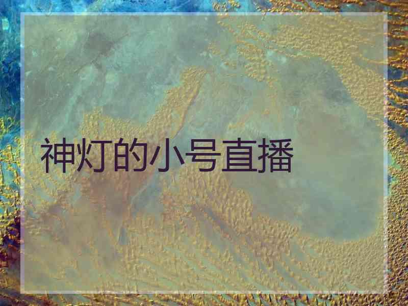 神灯的小号直播