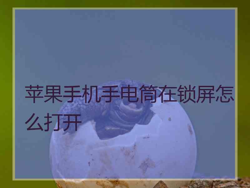 苹果手机手电筒在锁屏怎么打开