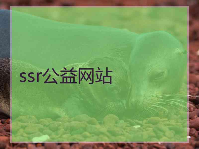 ssr公益网站