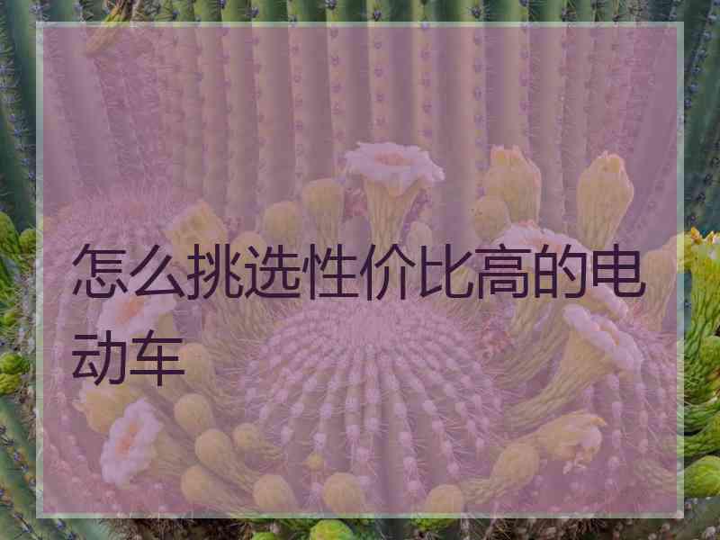 怎么挑选性价比高的电动车