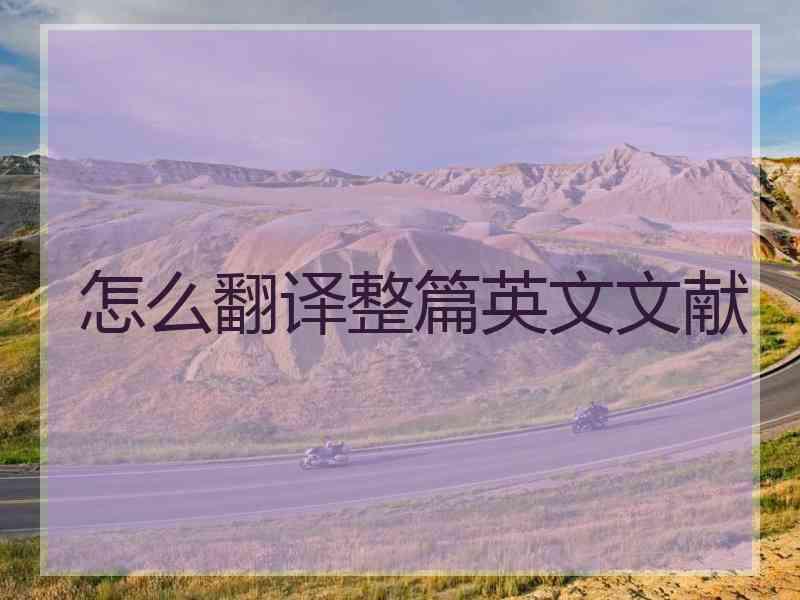 怎么翻译整篇英文文献