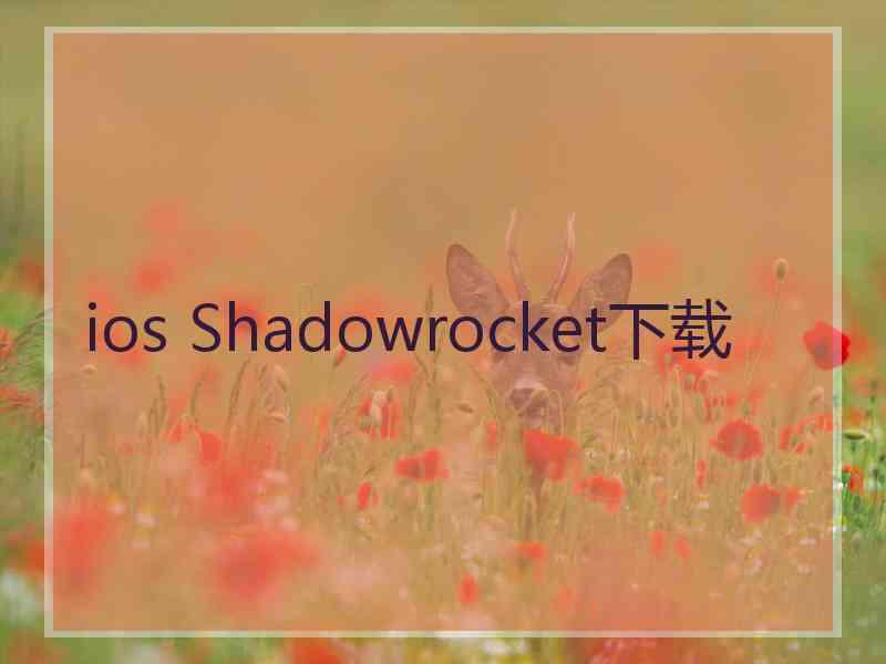 ios Shadowrocket下载