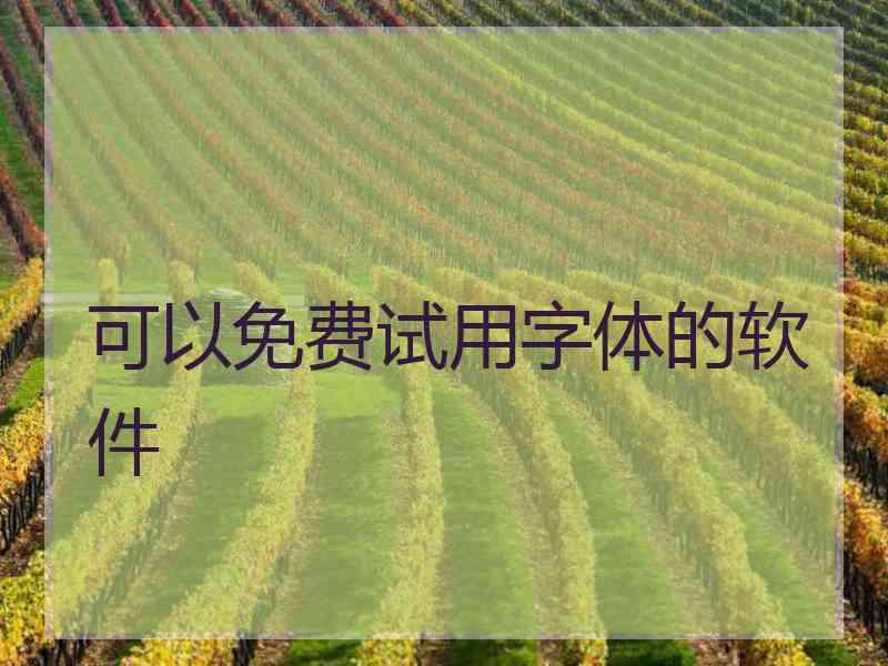 可以免费试用字体的软件