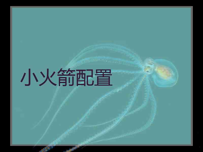 小火箭配置