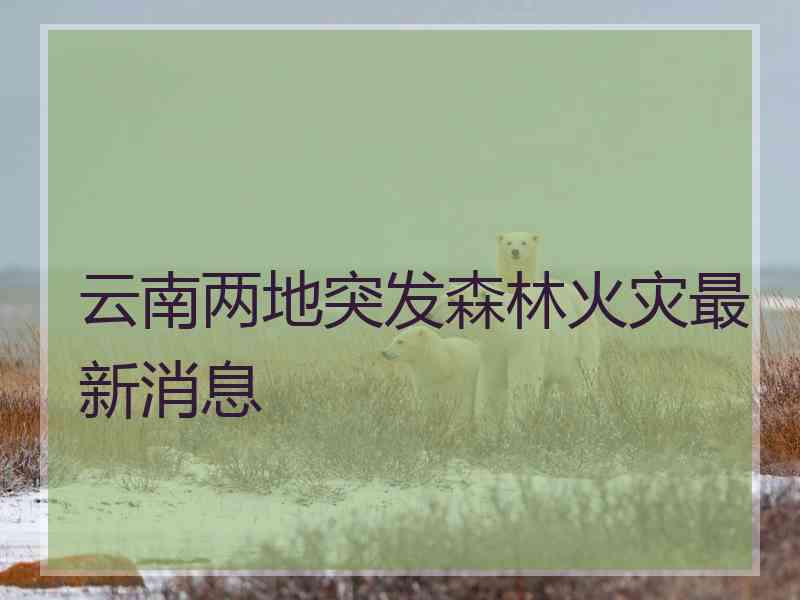 云南两地突发森林火灾最新消息