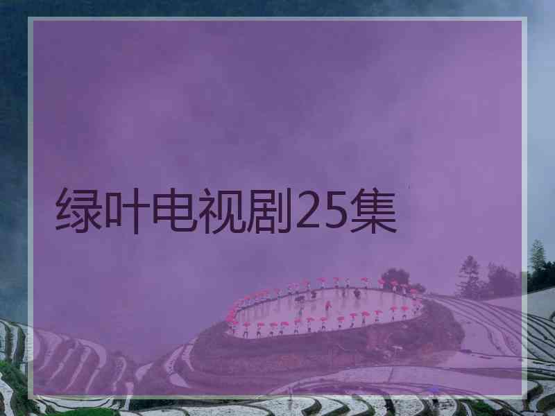 绿叶电视剧25集