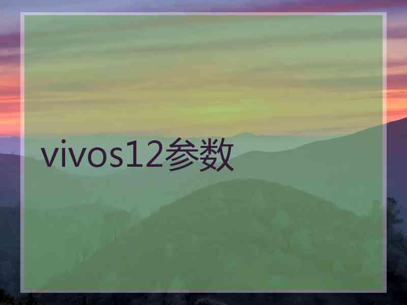 vivos12参数