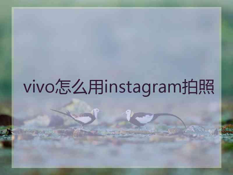 vivo怎么用instagram拍照