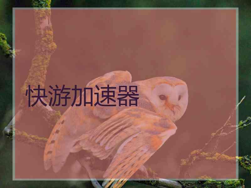 快游加速器