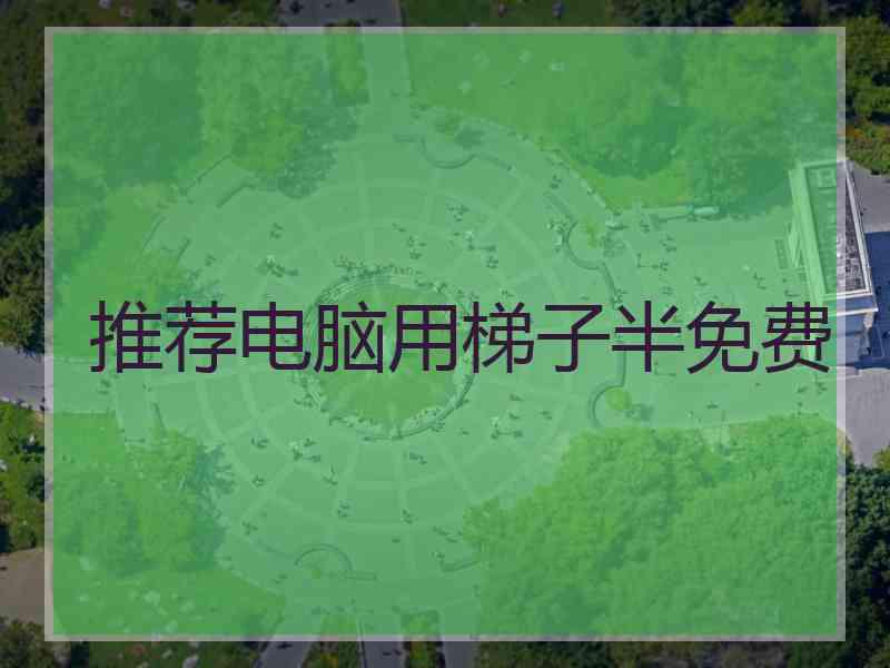 推荐电脑用梯子半免费