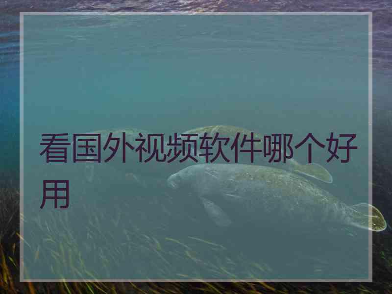 看国外视频软件哪个好用