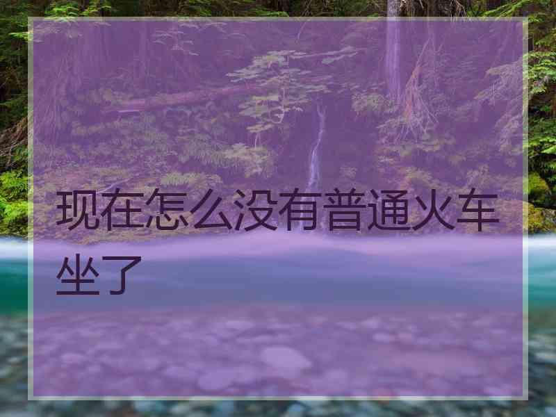 现在怎么没有普通火车坐了