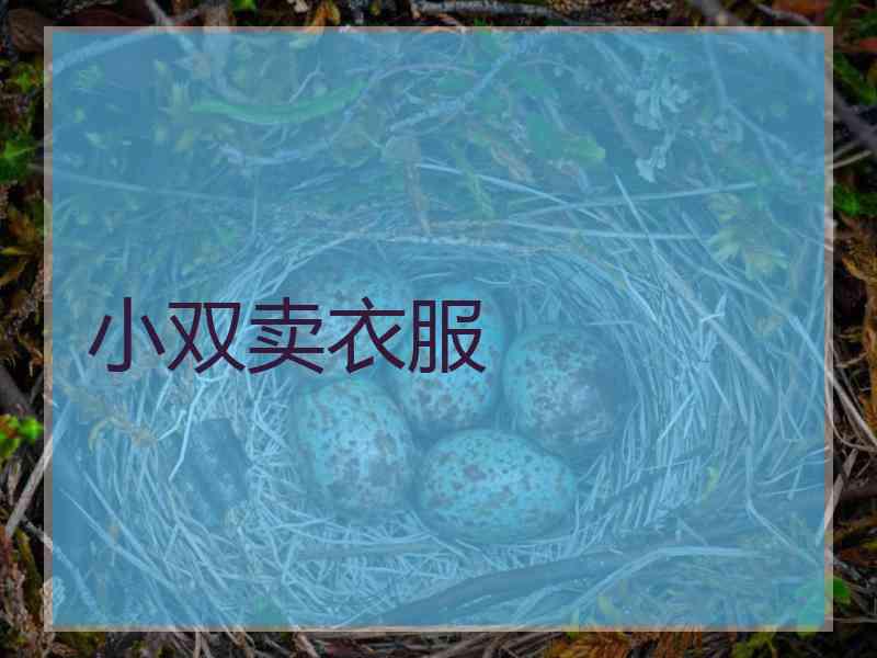 小双卖衣服