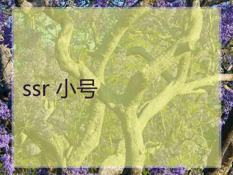 ssr 小号