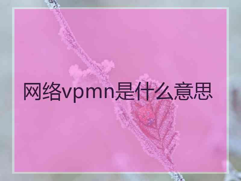 网络vpmn是什么意思