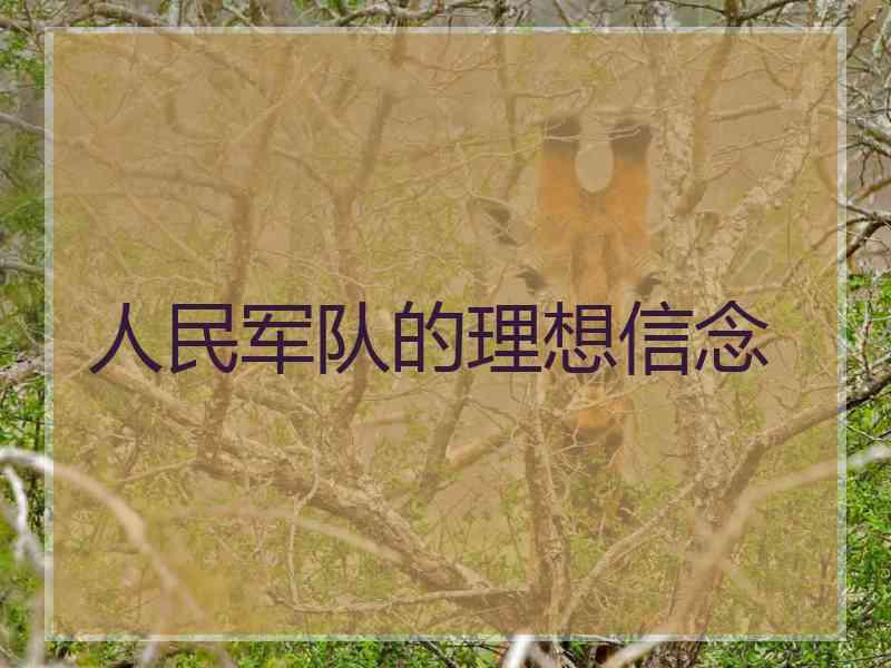 人民军队的理想信念
