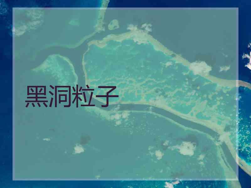 黑洞粒子
